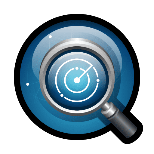 Software Understanding